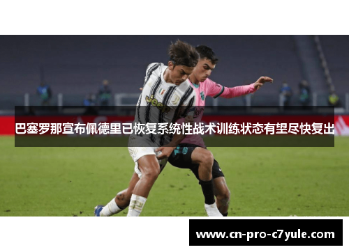 巴塞罗那宣布佩德里已恢复系统性战术训练状态有望尽快复出 巴塞罗那宣布佩德里已恢复系统性战术训练状态有望尽快复出